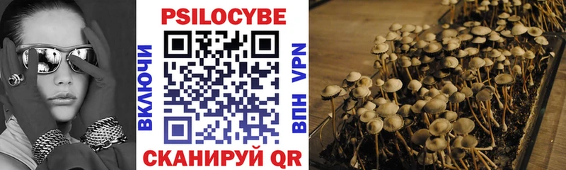 Купить закладки  Фёдоровский  Псилоцибиновые грибы GOLDEN TEACHER 